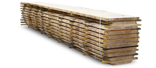 照片 橡木锯材原木Q-B 1b级 及筛选锯材板材Q-S 1b 级