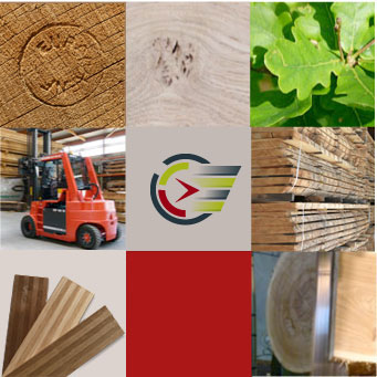 欧橡木材有限公司锯木厂各项专业技能