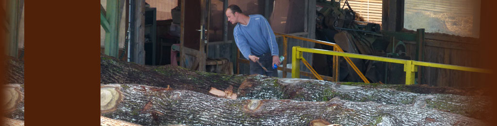 质量检查员，锯木厂法国橡木原木
