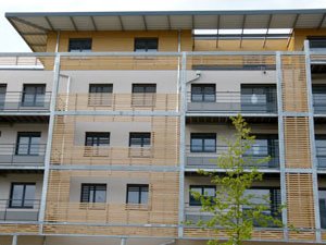 Thermally modified oak terraces